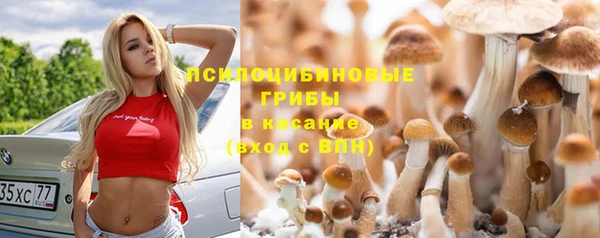 первитин Володарск
