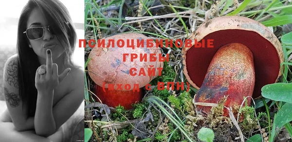 apvp Верхний Тагил