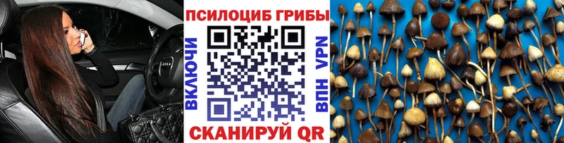 Галлюциногенные грибы Magic Shrooms  сколько стоит  KRAKEN сайт  Верхотурье 